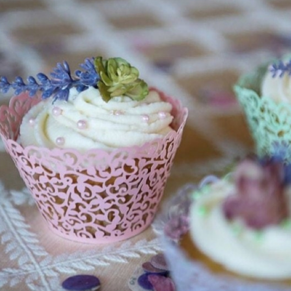 NEW! Set of 24 Filigree Lace Seafoam Green Cupcake Wrappers🧁